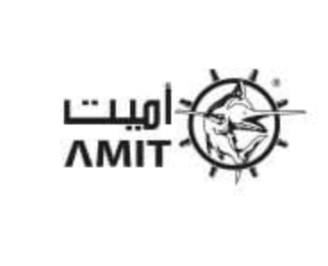 AMIT International Group